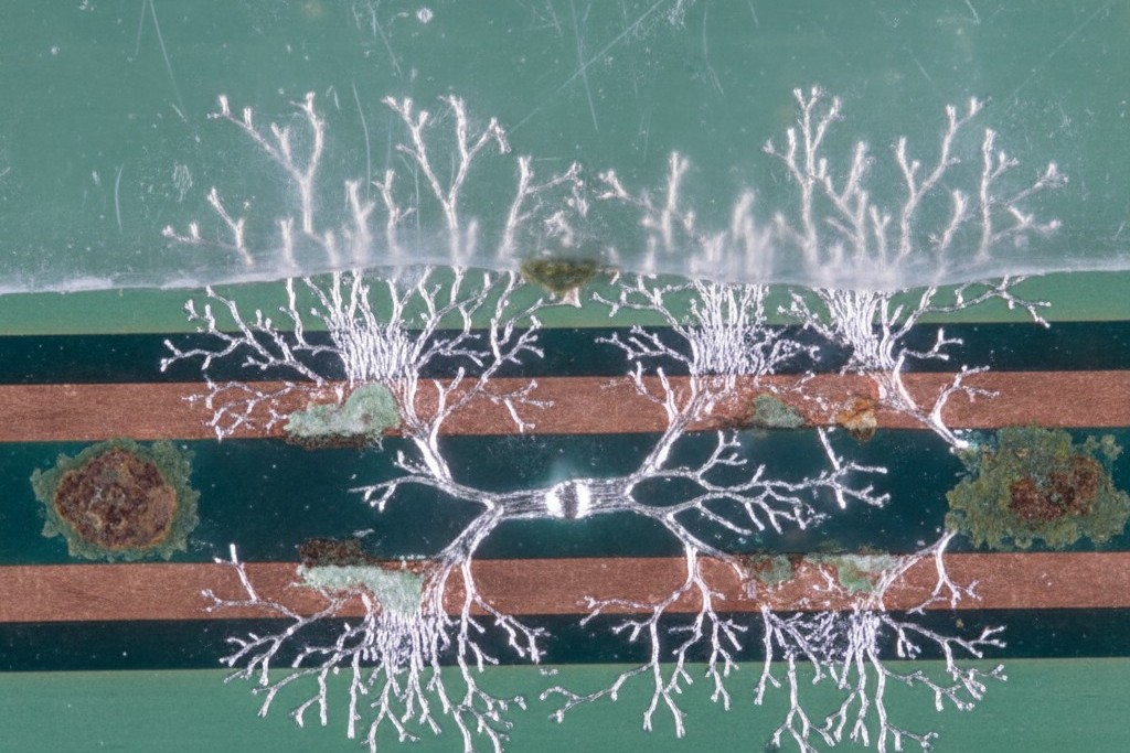Conformal Coating Failure Due to Dendritic Growth A macro photograph of a failed circuit board showing fine, metallic, tree-like dendrites growing between copper traces, caused by trapped flux residue under a conformal coating.