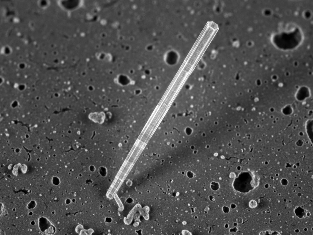 A scanning electron microscope image showing a long, thin, metallic tin whisker growing from a metal surface, illustrating its hair-like structure.
